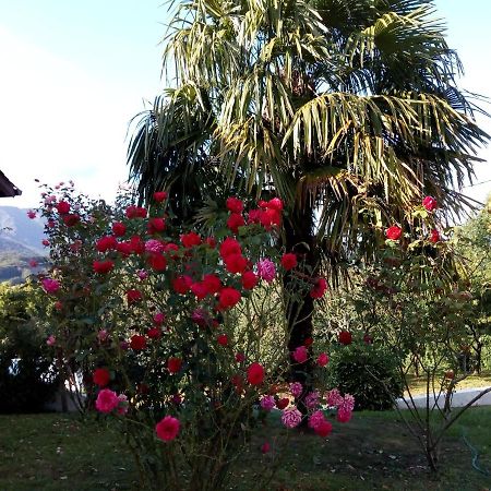 Gite Etxe Xuri Ossès Esterno foto