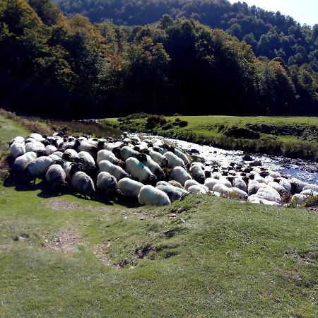 Gite Etxe Xuri Ossès Esterno foto