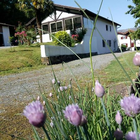Gite Etxe Xuri Ossès Esterno foto