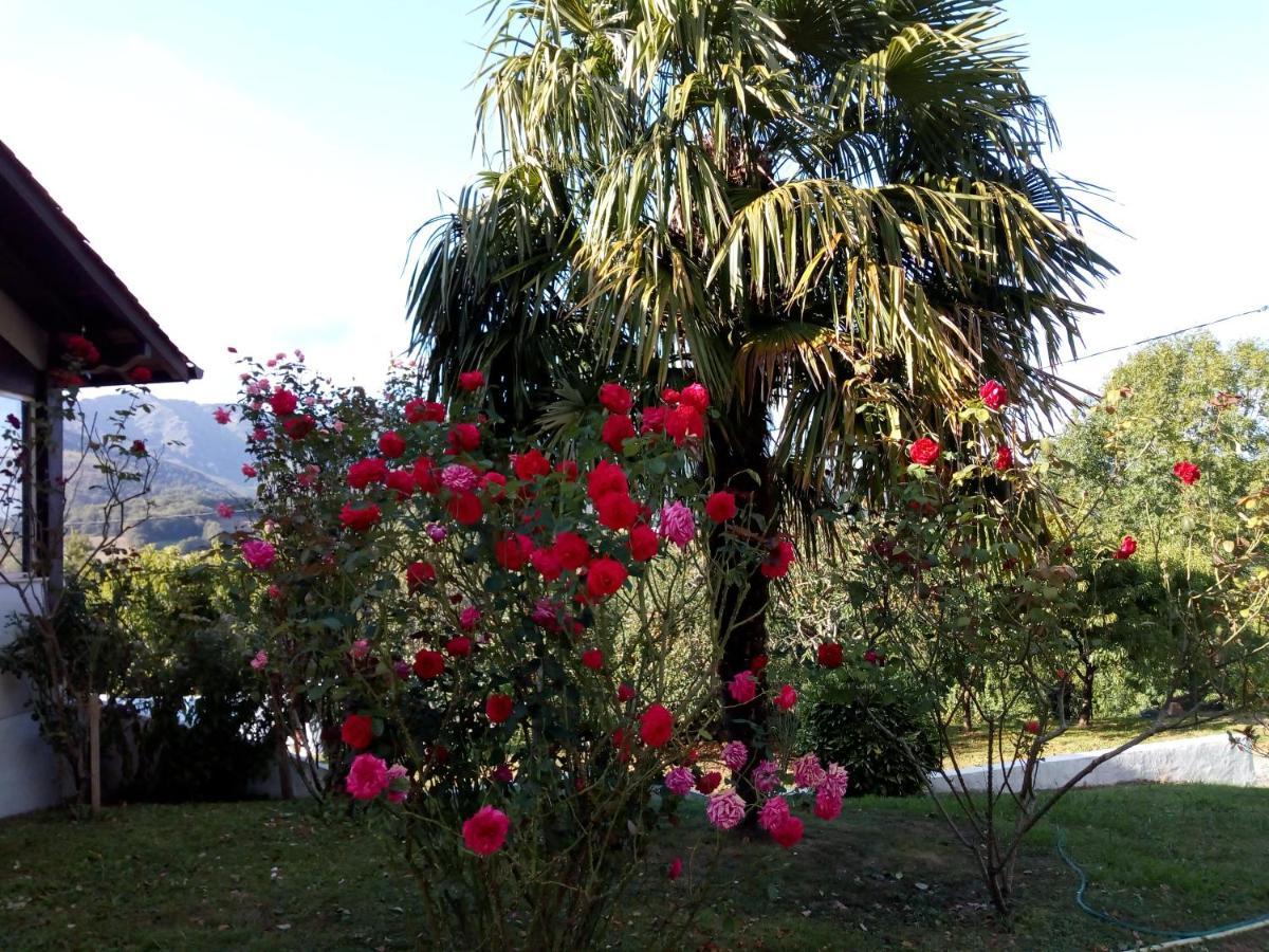 Gite Etxe Xuri Ossès Esterno foto