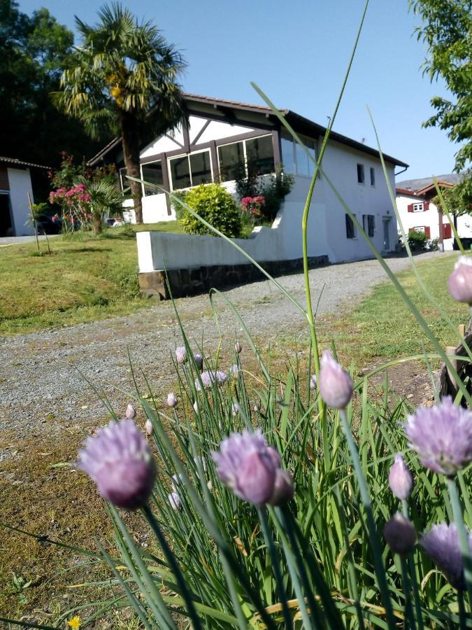 Gite Etxe Xuri Ossès Esterno foto
